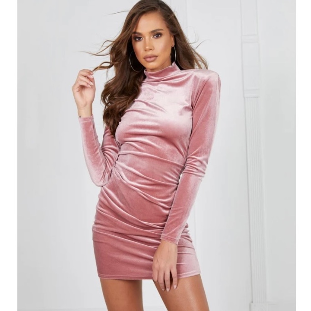 Brand New Never Worn “Velvet Rose” dress.